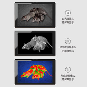 高清雙光融合成像